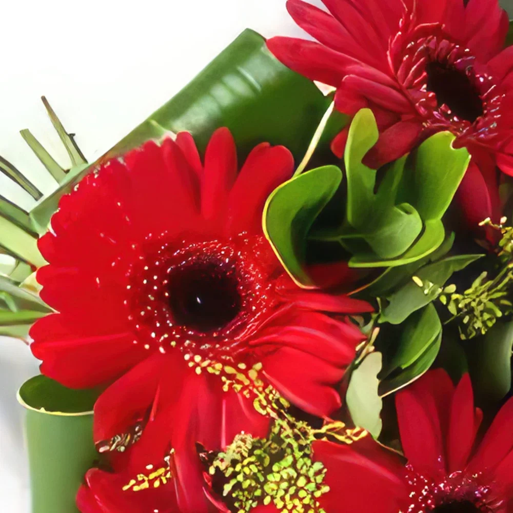 Belém blomster- Bukett med 6 samme fargede gerberas Blomsterarrangementer bukett