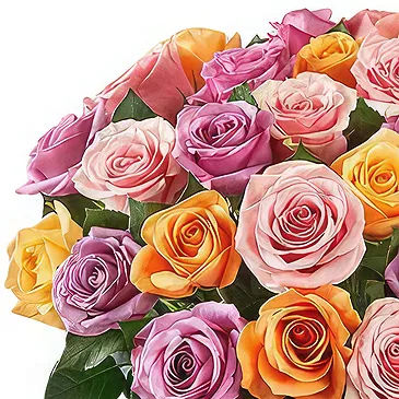 Smederevska Palanka flowers  -  Color Splash Flower Bouquet/Arrangement