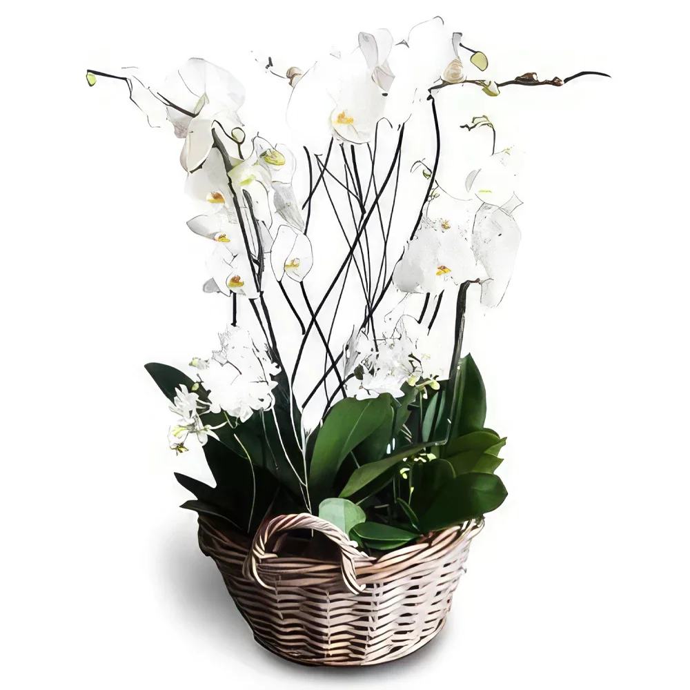 Cascais Blumen Florist- Geschenk Geben Bouquet/Blumenschmuck