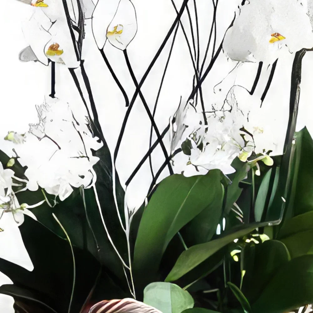 fleuriste fleurs de Portimao- Donner en cadeau Bouquet/Arrangement floral