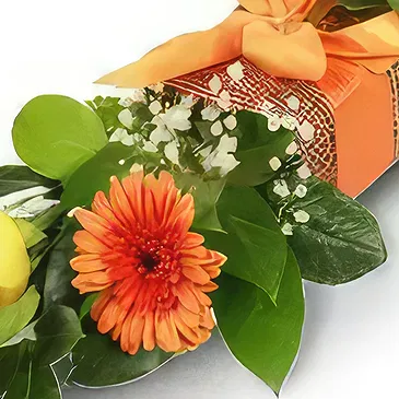 Bacova Mahala blomster- Kunstnerisk Arrangement Blomst buket/Arrangement