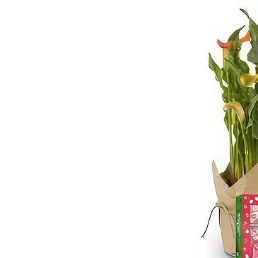 White River bloemen bloemist- vanille sweetie pie chocolade Boeket/bloemstuk