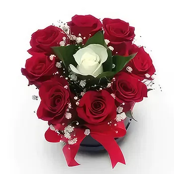 Kravino flowers  -  One And Only Flower Delivery