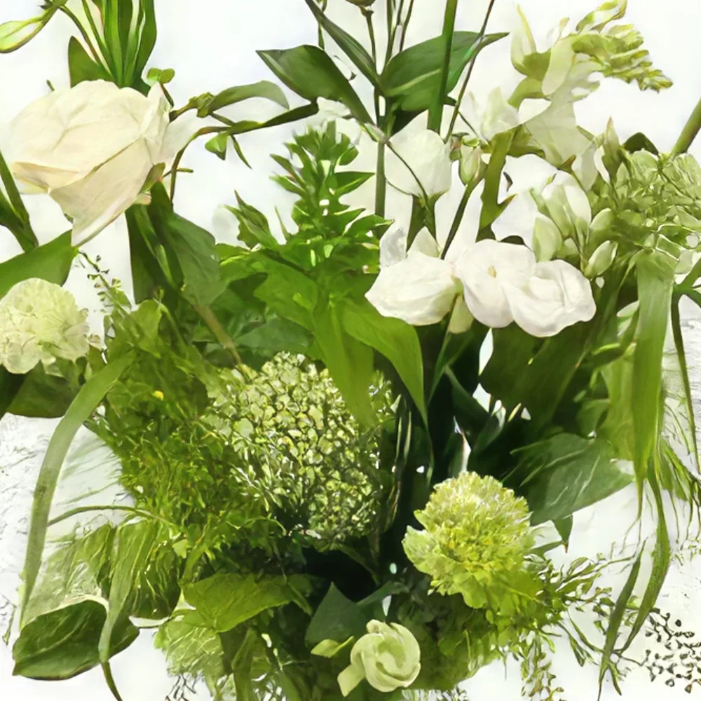 Αϊντχόβεν λουλούδια- Μαγευτική Ομορφιά Μπουκέτο/ρύθμιση λουλουδιών