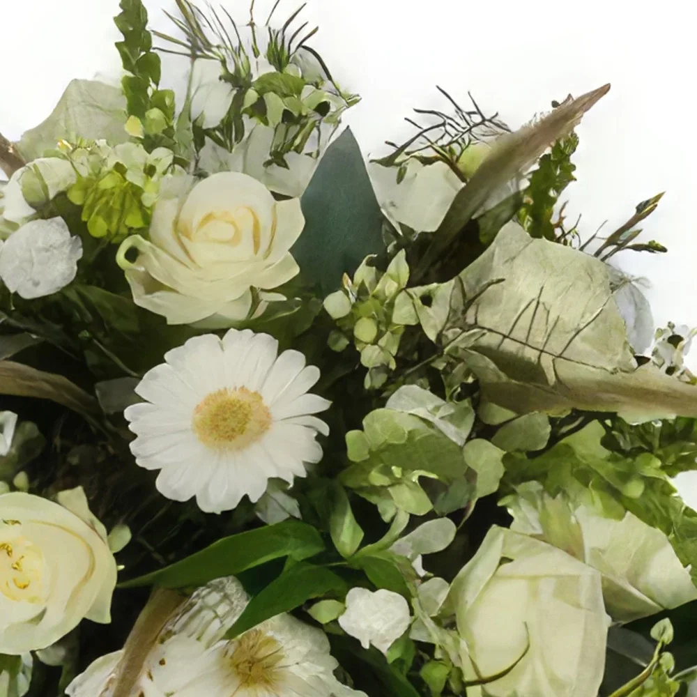 אמסטרדם פרחים- בידרמאייר לבן (קלאסי) זר פרחים/סידור פרחים