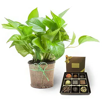 Buangkok flowers  -  Beautifully Endowed Flower Delivery