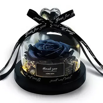 United Arab Emirates flowers  -  Black Preserved Rose Flower Delivery