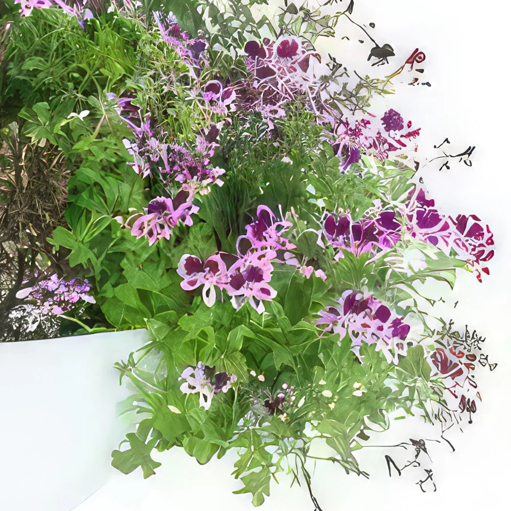 Bordeaux bloemen bloemist- Mix van roze & paarse Pulchra planten Boeket/bloemstuk