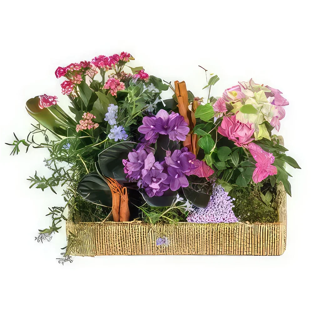 flores de Marselha- Mistura de plantas O Jardim Encantado Bouquet/arranjo de flor