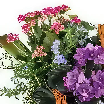 Vendin-le-Vieil flowers  -  Blend of plants The Enchanted Garden Flower Bouquet/Arrangement