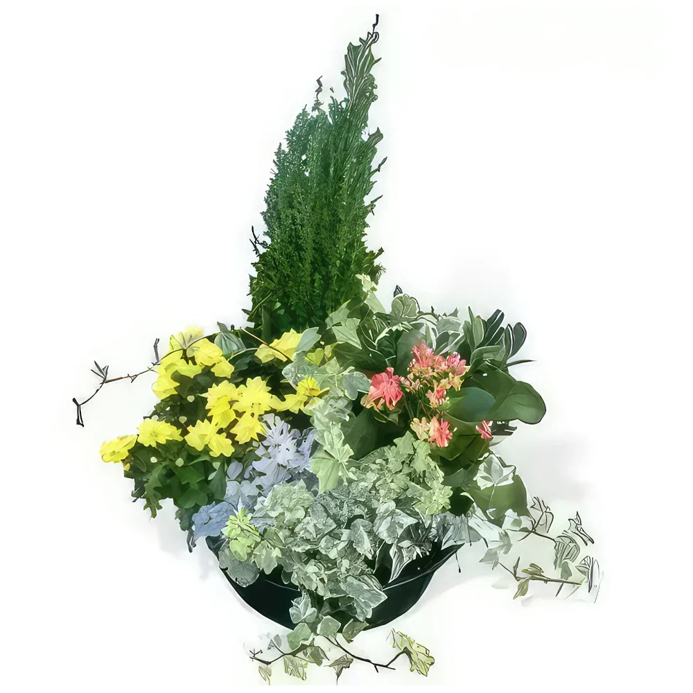 Στρασβούργο λουλούδια- Μείγμα φυτών Ο κήπος του χρόνου Μπουκέτο/ρύθμιση λουλουδιών