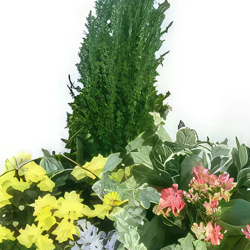 بائع زهور مونبلييه- مزيج من النباتات حديقة الزمن باقة الزهور