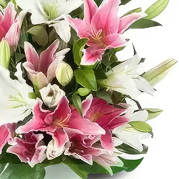 Cala Llonga flowers  -  Whispering Lily Garden Flower Bouquet/Arrangement