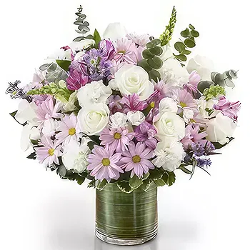 United Arab Emirates flowers  -  Blooming Beauty  Flower Delivery