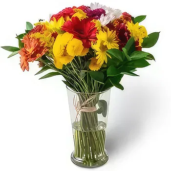 Brazil flowers  -  Large Arrangement of Colorful Potted Field Fl Flower Delivery