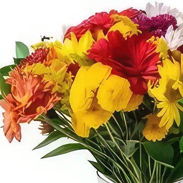 Chile flowers  -  Large Arrangement of Colorful Potted Field Fl Flower Bouquet/Arrangement