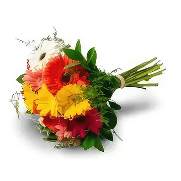 Amsterdam flowers  -  African daisy. Flower Bouquet/Arrangement