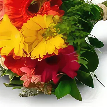 Amsterdam flowers  -  African daisy. Flower Bouquet/Arrangement