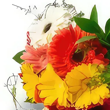 Amsterdam flowers  -  African daisy. Flower Bouquet/Arrangement