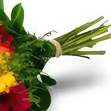 Amsterdam flowers  -  African daisy. Flower Bouquet/Arrangement
