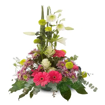 Cala Llonga flowers  -  Bloom Bliss Gerbera Hub Flower Bouquet/Arrangement