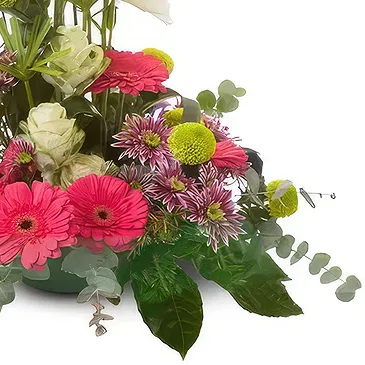Cala Llonga flowers  -  Bloom Bliss Gerbera Hub Flower Bouquet/Arrangement