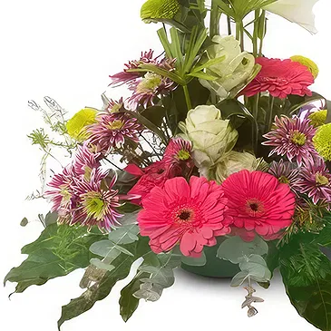 Cala Llonga flowers  -  Bloom Bliss Gerbera Hub Flower Bouquet/Arrangement