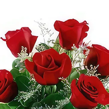 Bacevo Blumen Florist- Rocke das Rote Bouquet/Blumenschmuck