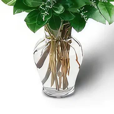 Bacevo Blumen Florist- Rocke das Rote Bouquet/Blumenschmuck