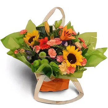 Antias flowers  -  Delighted Present Flower Delivery