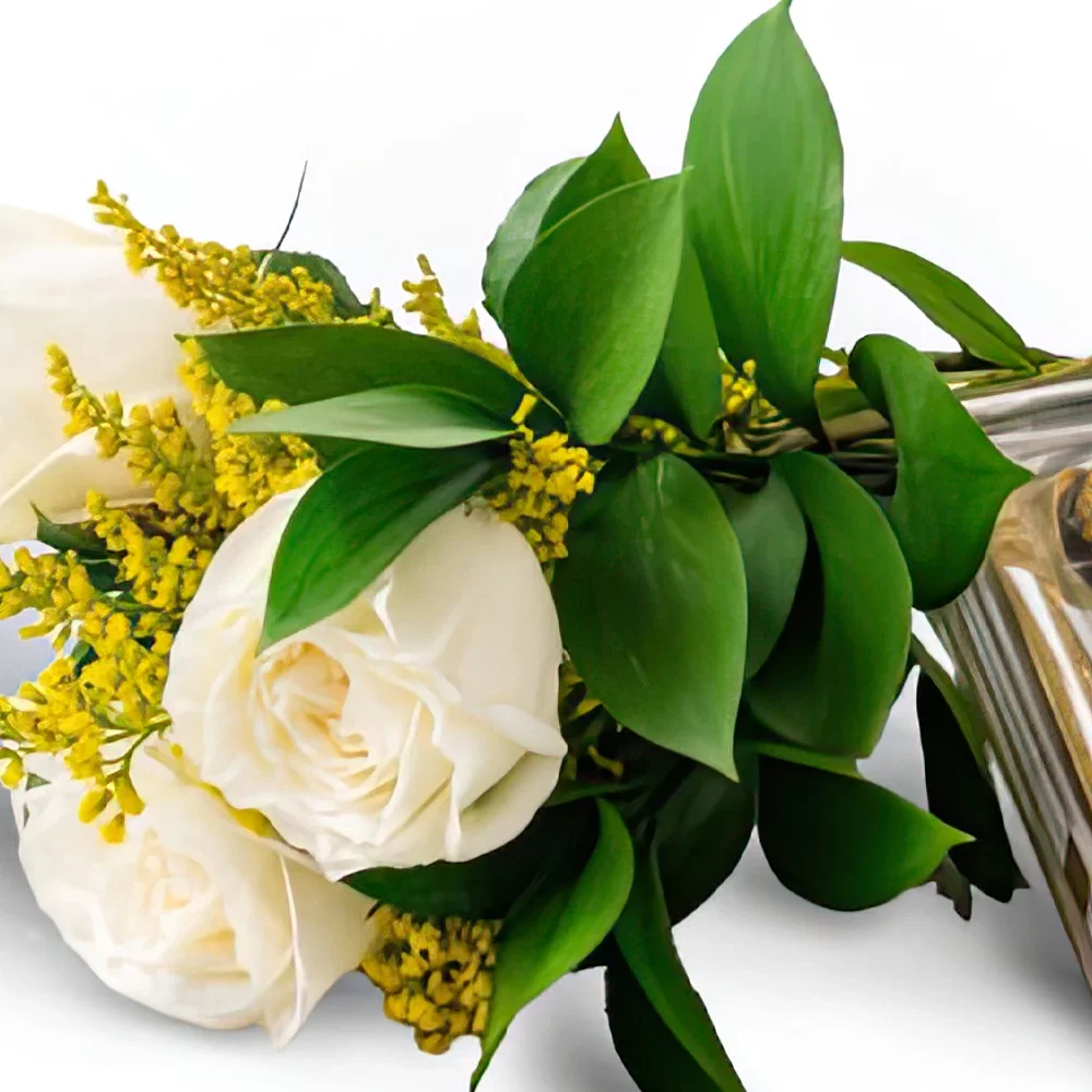 Σαλβαντόρ λουλούδια- Μπουκέτο από 3 λευκά τριαντάφυλλα και σοκολάτ Μπουκέτο/ρύθμιση λουλουδιών