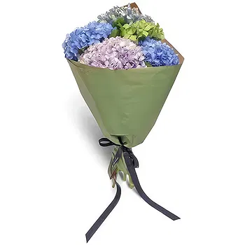 Madrid flowers  -  Chroma Bloom Flower Delivery