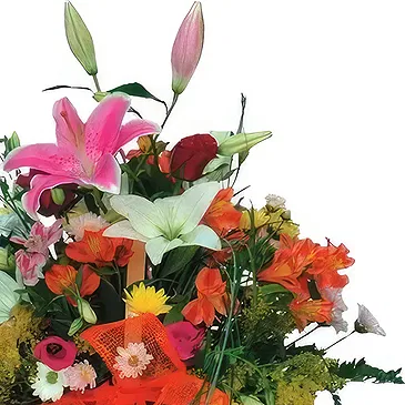 Cala Llonga flowers  -  Blooming Spring Medley Flower Bouquet/Arrangement