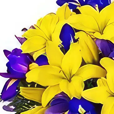Cabo Balanco blommor- Vår romantik Bukett/blomsterarrangemang
