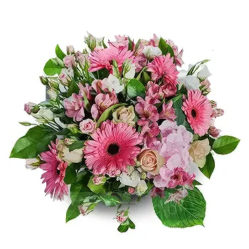 Madrid flowers  -  Blushing Bella Blooms Flower Delivery