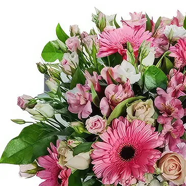 Valladolid çiçek- Kızaran Bella Blooms Çiçek buketi/düzenleme