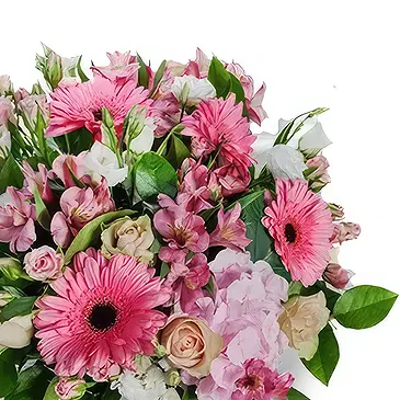 Valladolid çiçek- Kızaran Bella Blooms Çiçek buketi/düzenleme
