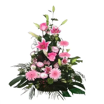 Madrid flowers  -  Blush Elevation Blooms Flower Delivery