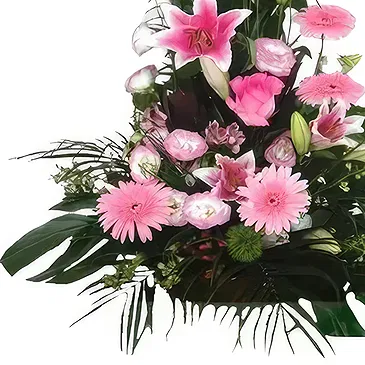Benalmadena flowers  -  Blush Elevation Blooms Flower Bouquet/Arrangement