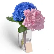 バールドバイ オンライン花屋 - ブラッシュ・ミー・アップ 花束