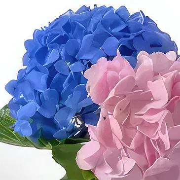 Ghadeer al tair flowers  -  Blush Me Up Flower Bouquet/Arrangement