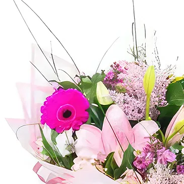 Prokuplje flowers  -  Blushing Beauty Flower Bouquet/Arrangement