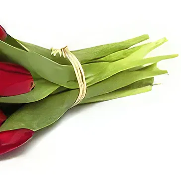 Adma flowers  -  For Love Flower Bouquet/Arrangement
