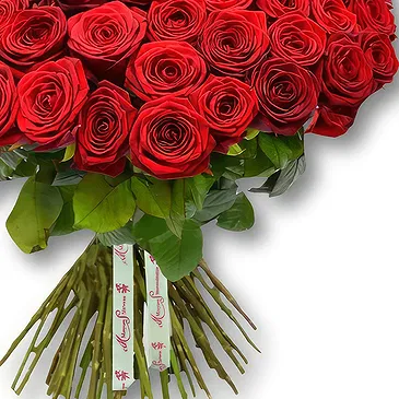 Garhoud flowers  -  Bold & Beautiful Red Rose Bouquet Flower Bouquet/Arrangement