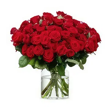 Holland flowers  -  Passionate Love in Bloom Flower Delivery