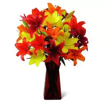 flores Kagoshima floristeria -  Pura felicidad Ramos de  con entrega a domicilio