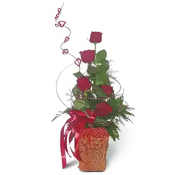 Poland flowers  -  Red One Flower Delivery