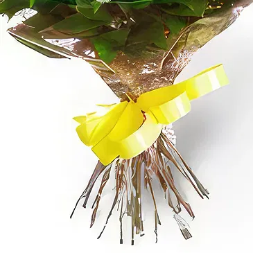 Sofia flowers  -  Floral Variance Flower Bouquet/Arrangement