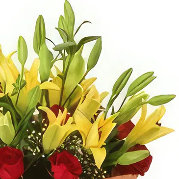 Cung Kiệm flowers  -  Moments Flower Bouquet/Arrangement
