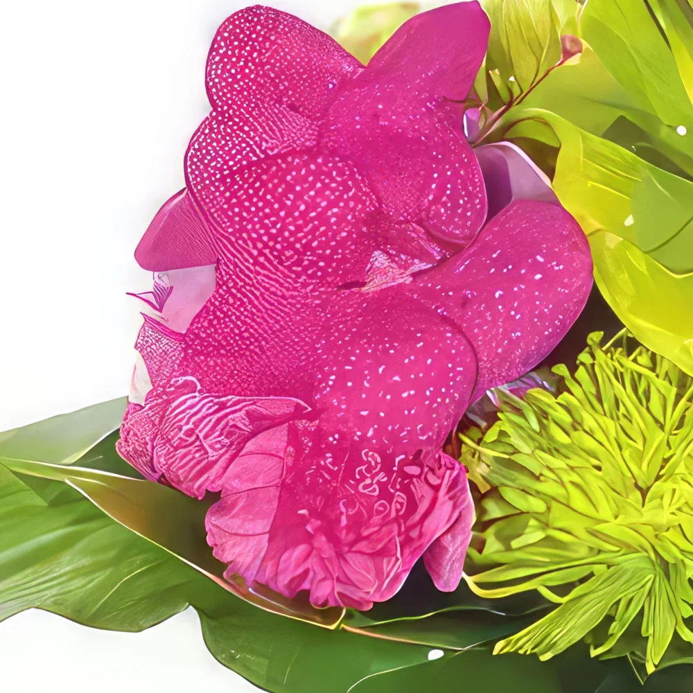 flores de Marselha- Buquê de flores boudoir Bouquet/arranjo de flor